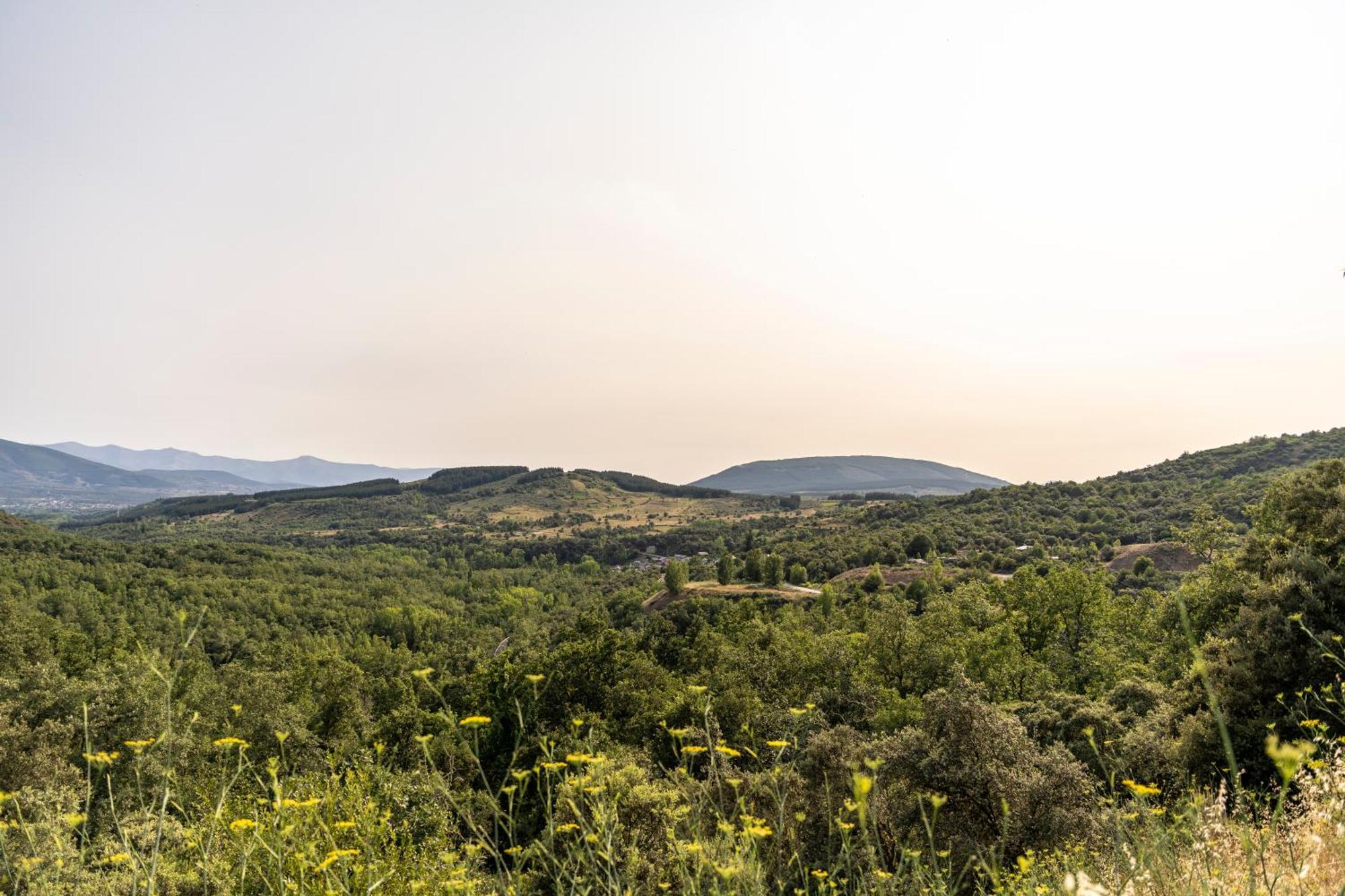 Casa de turismo rural Sardom2 Διαμέρισμα Bembibre  Εξωτερικό φωτογραφία